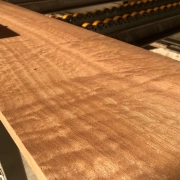 East Bros Fun Day 2023!