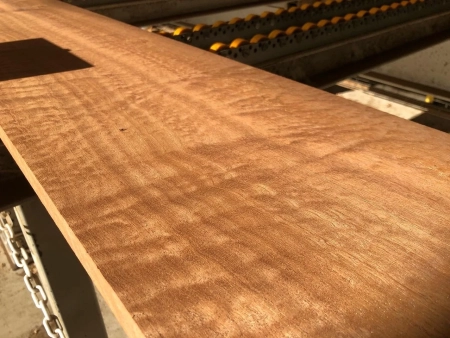 Sapele vs Accoya: A Comparison of Solid Wood & Modified Alternatives