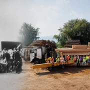 The Backbone of Building: Timber's Place in Construction History
